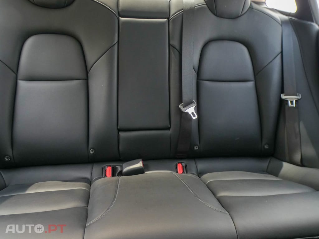 Tesla Model 3 Long Range Tração Integral