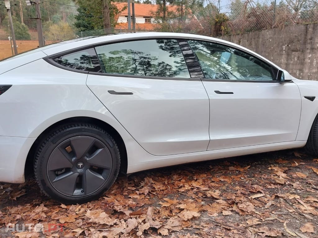 Tesla Model 3 Standard RWD