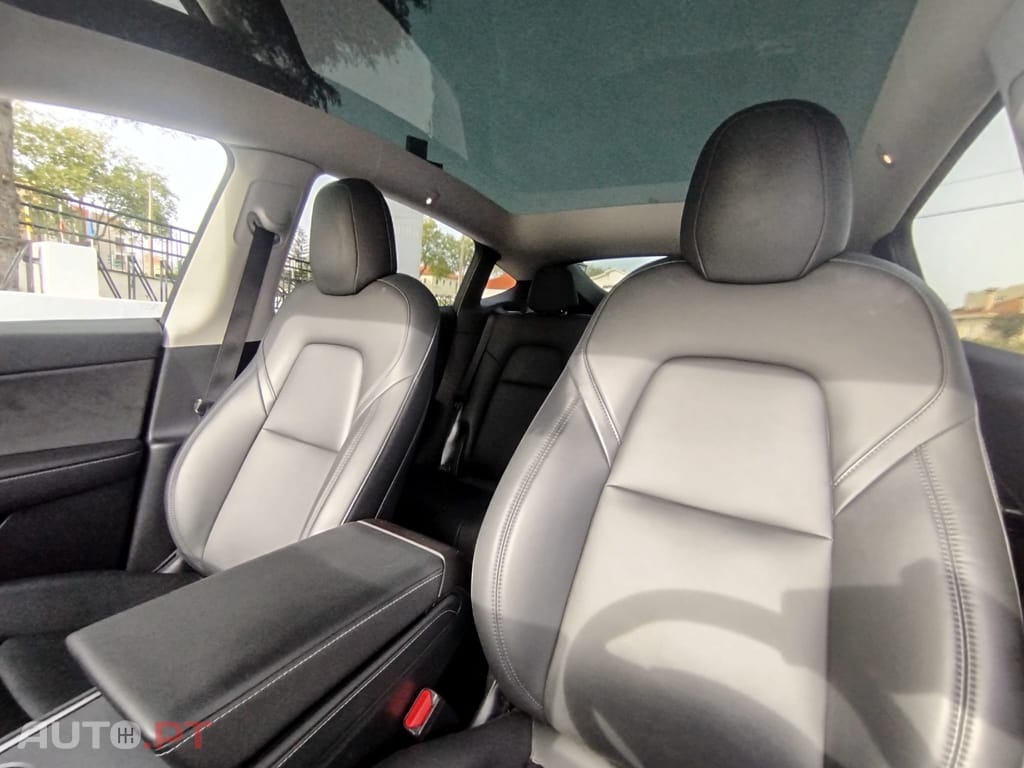 Tesla Model Y Long Range Tração Integral