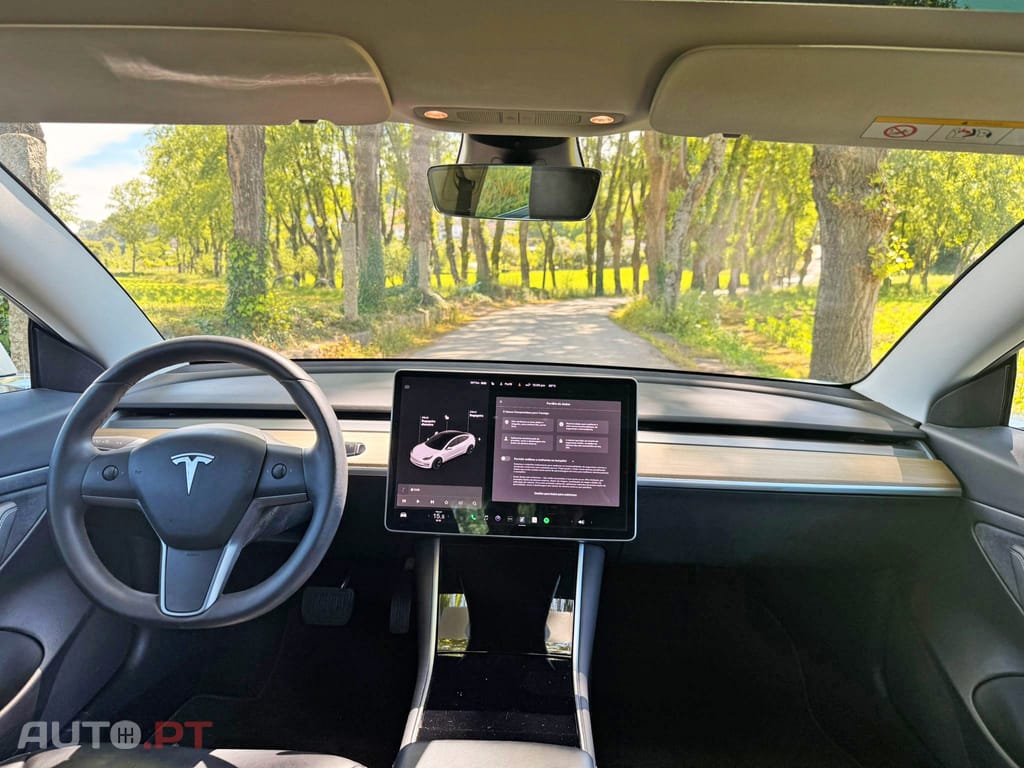 Tesla Model 3 Standard RWD Plus