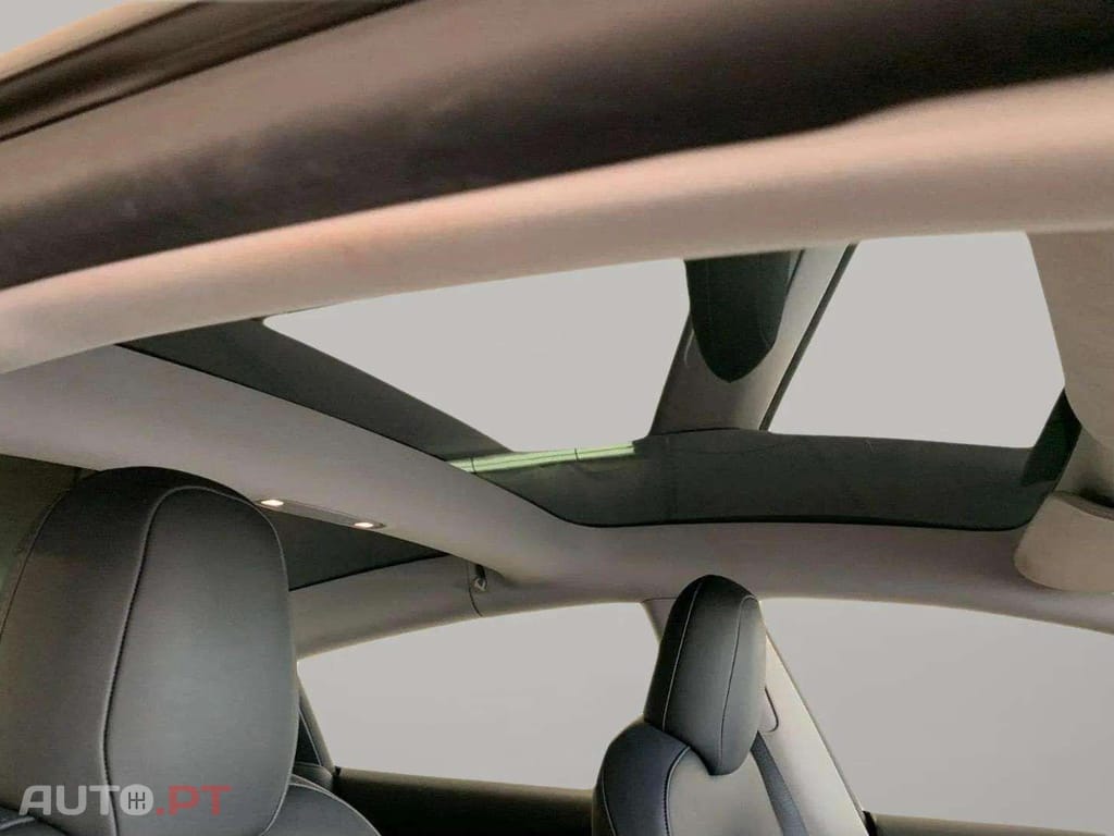 Tesla Model 3 Performance Dual AWD 