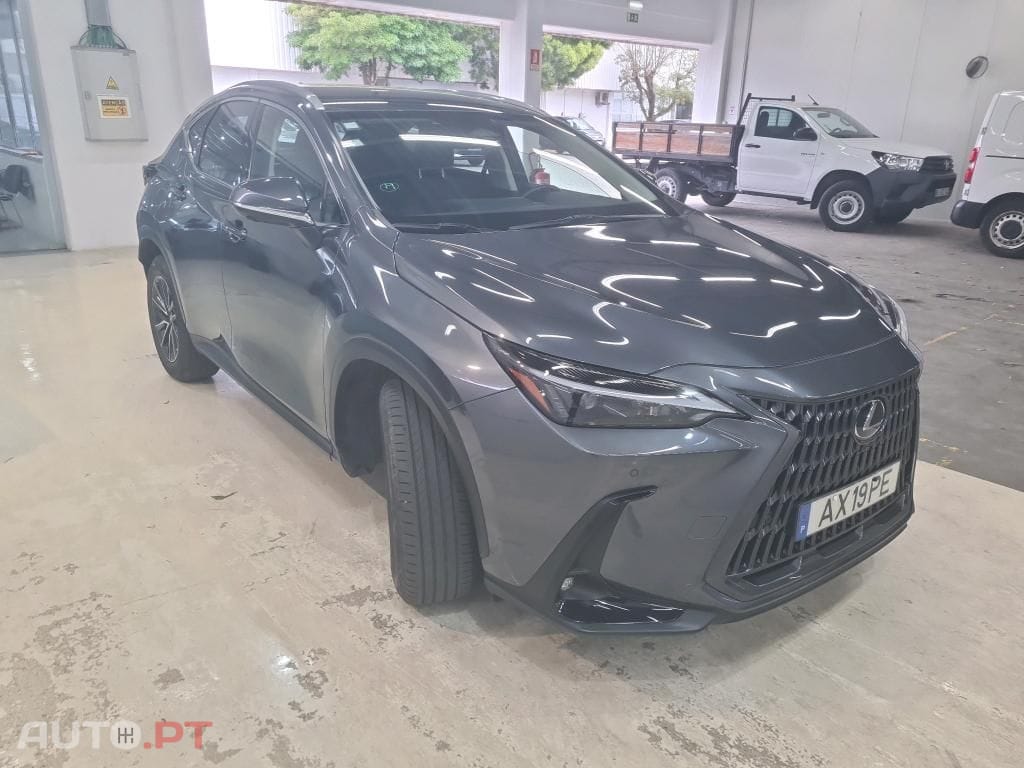 Lexus NX Executive