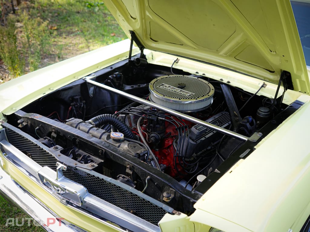 Ford Mustang 289 V8