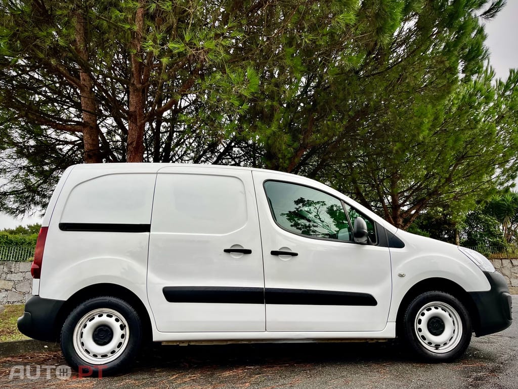 Citroen Berlingo 1600 - HDI