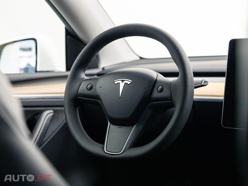 Tesla Model Y Performance Dual Motor AWD