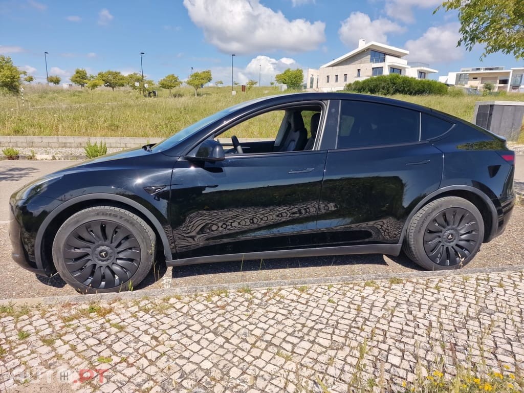 Tesla Model Y RWD