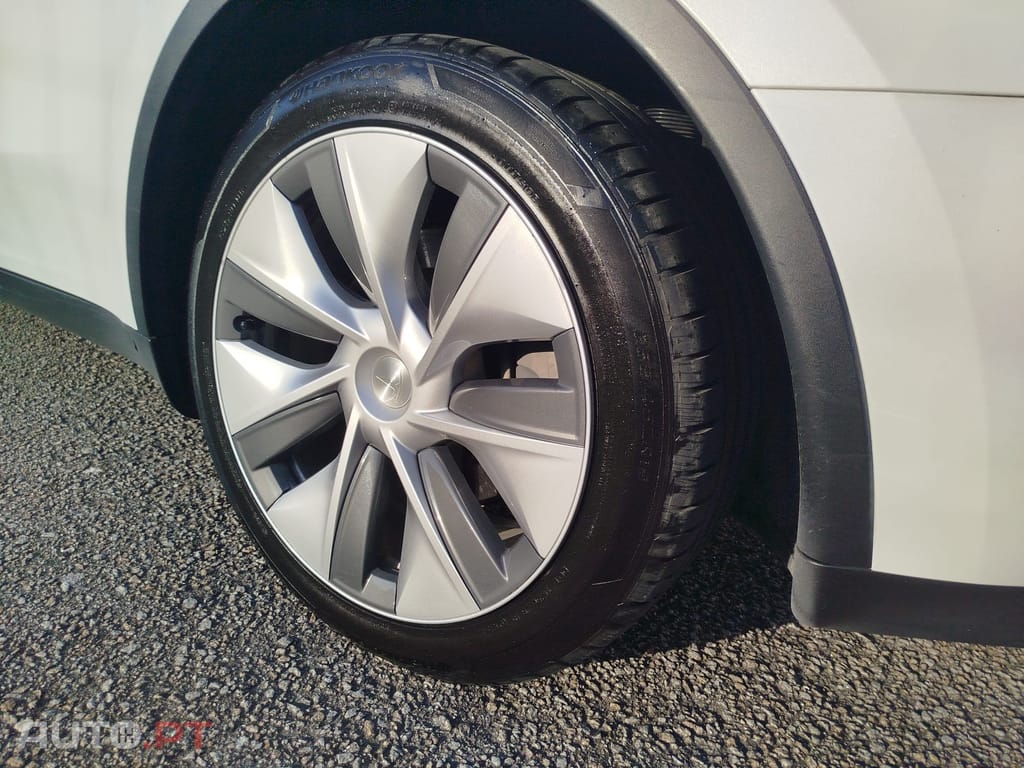Tesla Model Y RWD