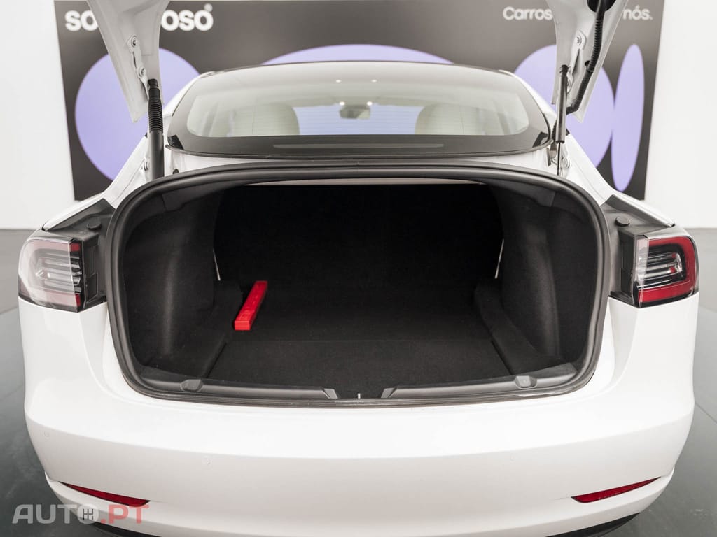 Tesla Model 3 Performance Dual Motor AWD
