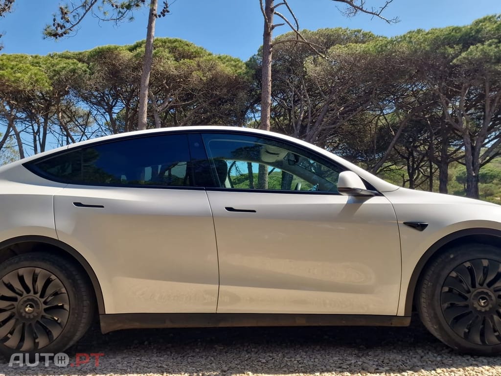 Tesla Model Y RWD