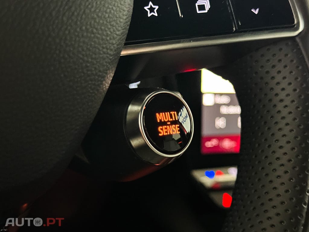 Renault Scénic 220 Long Range Technno