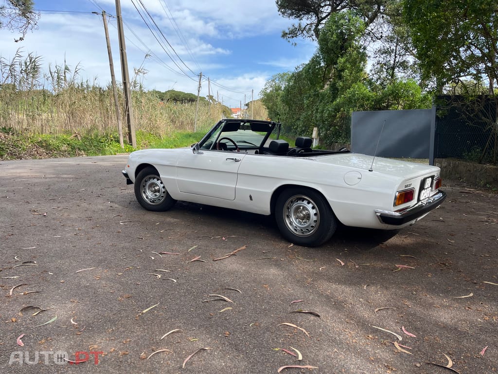 Alfa Romeo Spider 1300 junior