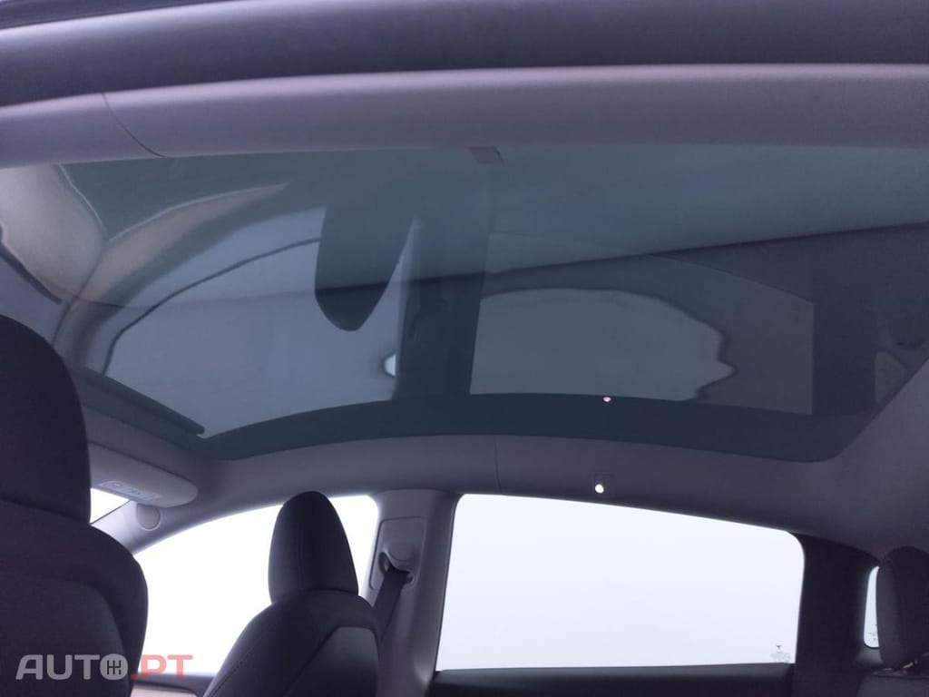 Tesla Model Y Standard RWD