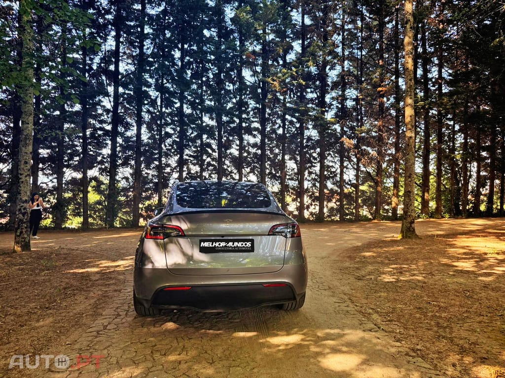 Tesla Model Y Performance Dual Motor AWD