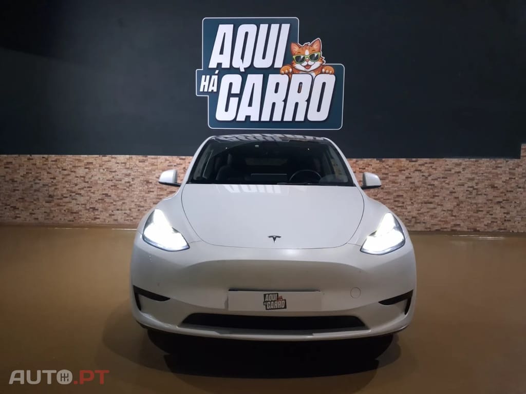 Tesla Model Y RWD
