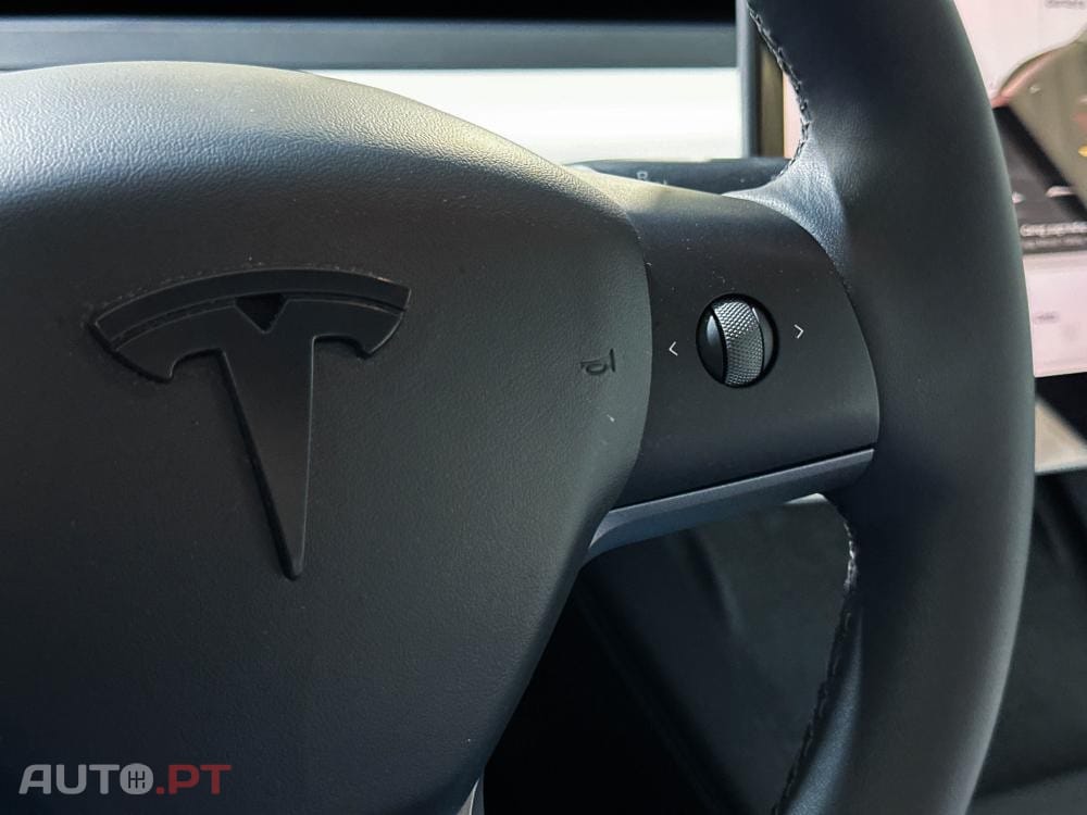 Tesla Model Y Standard