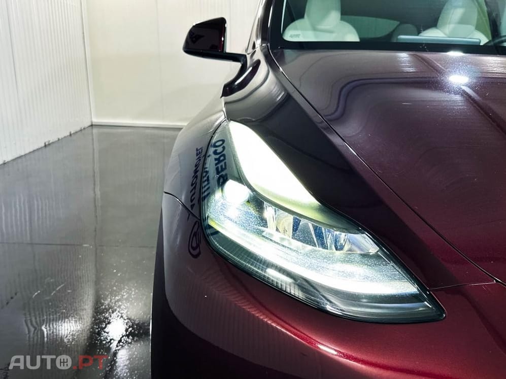 Tesla Model Y Standard