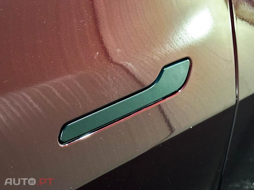 Tesla Model Y Performance Dual Motor AWD