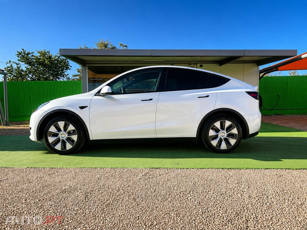 Tesla Model Y Standard