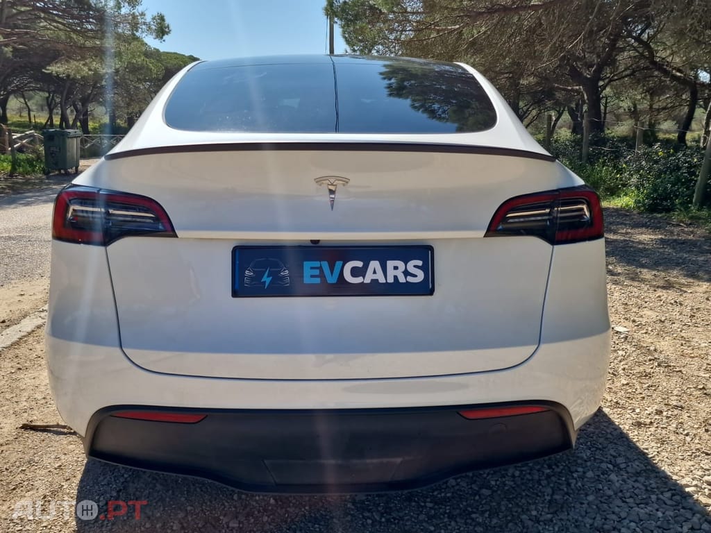 Tesla Model Y RWD