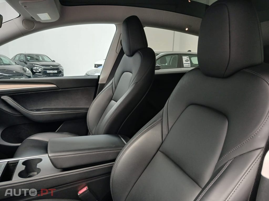 Tesla Model Y Standard