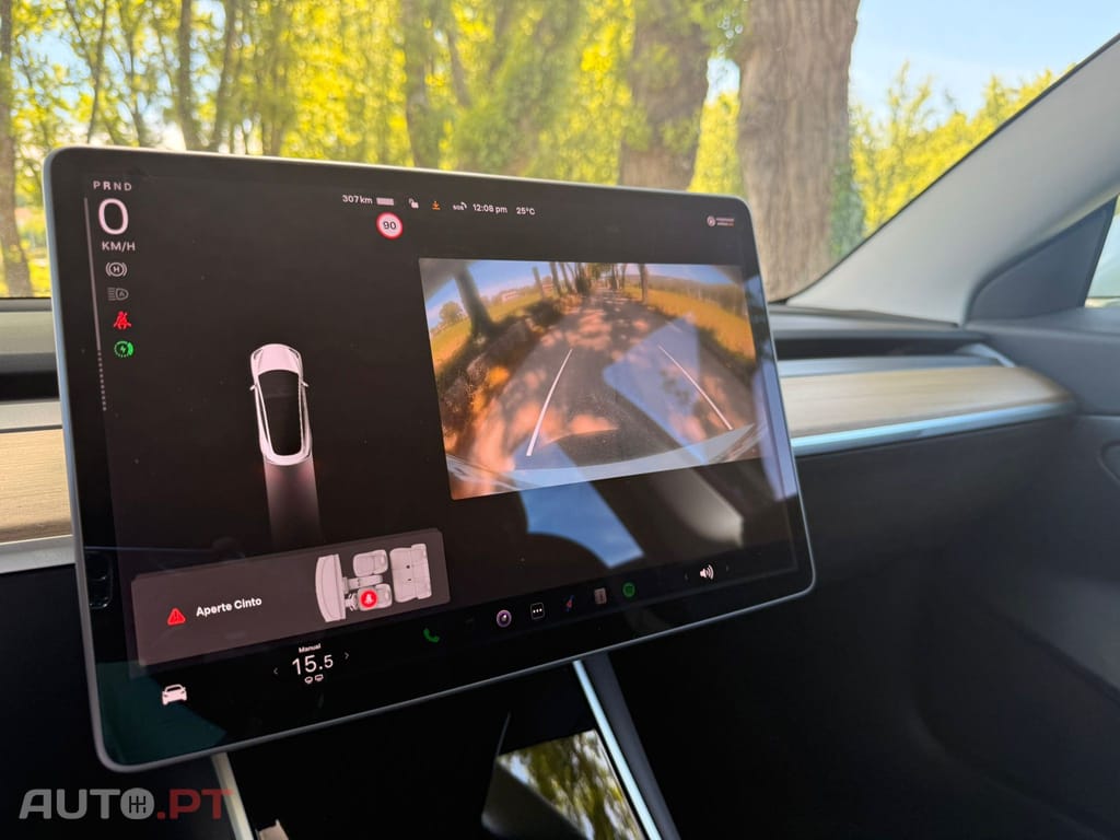 Tesla Model 3 Standard RWD Plus