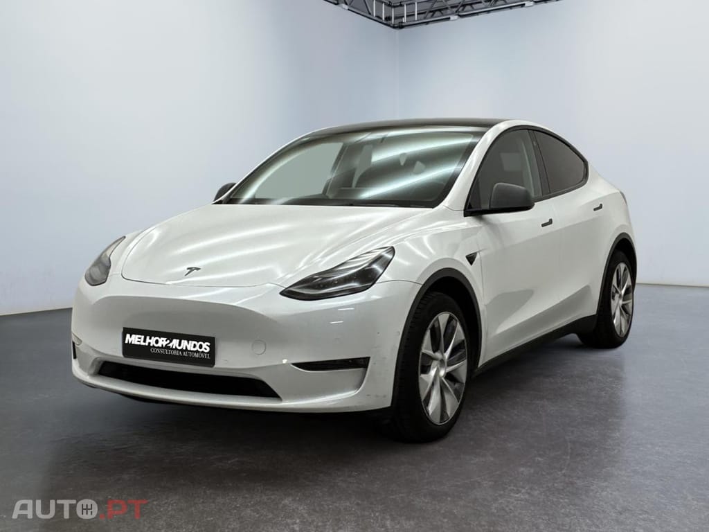 Tesla Model Y Long Range Dual Motor AWD