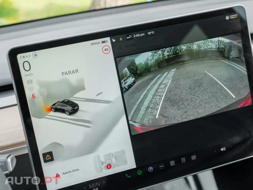 Tesla Model Y Standard