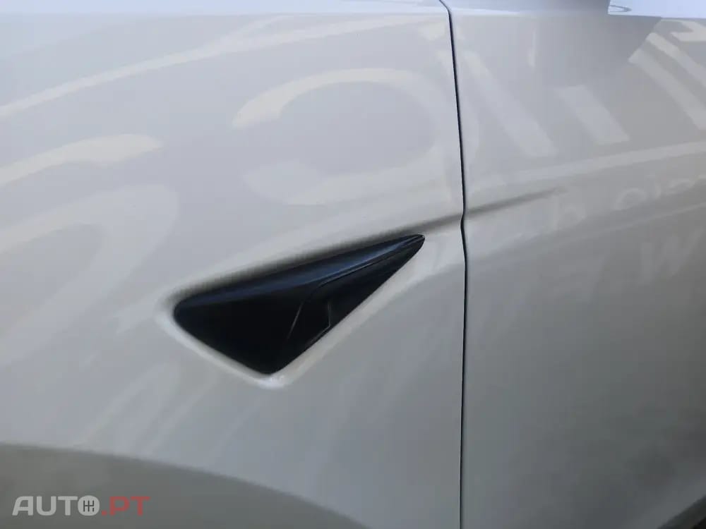 Tesla Model Y Performance Dual Motor AWD