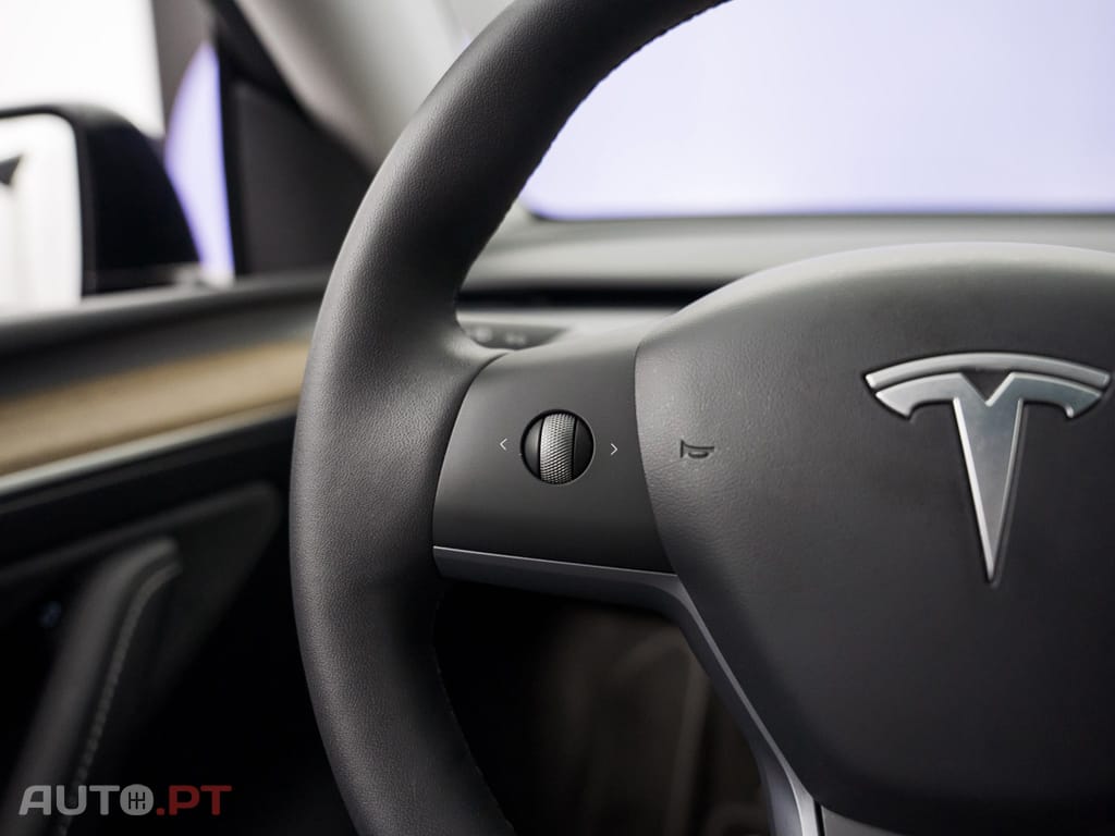 Tesla Model Y Long Range Tração Integral