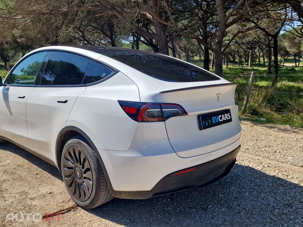 Tesla Model Y RWD