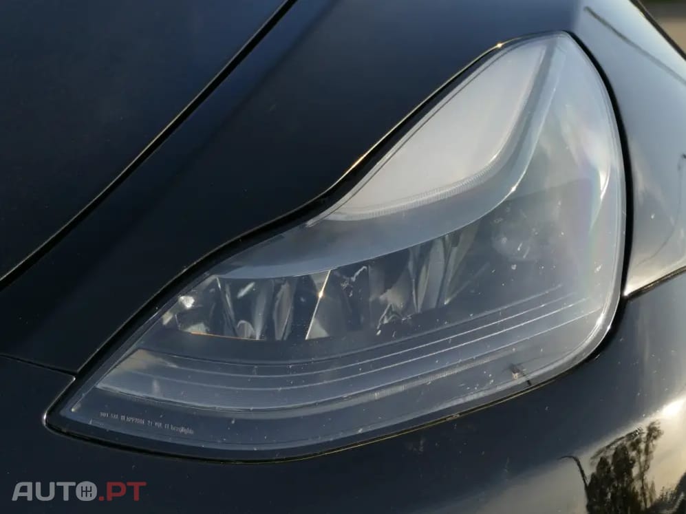 Tesla Model Y Standard