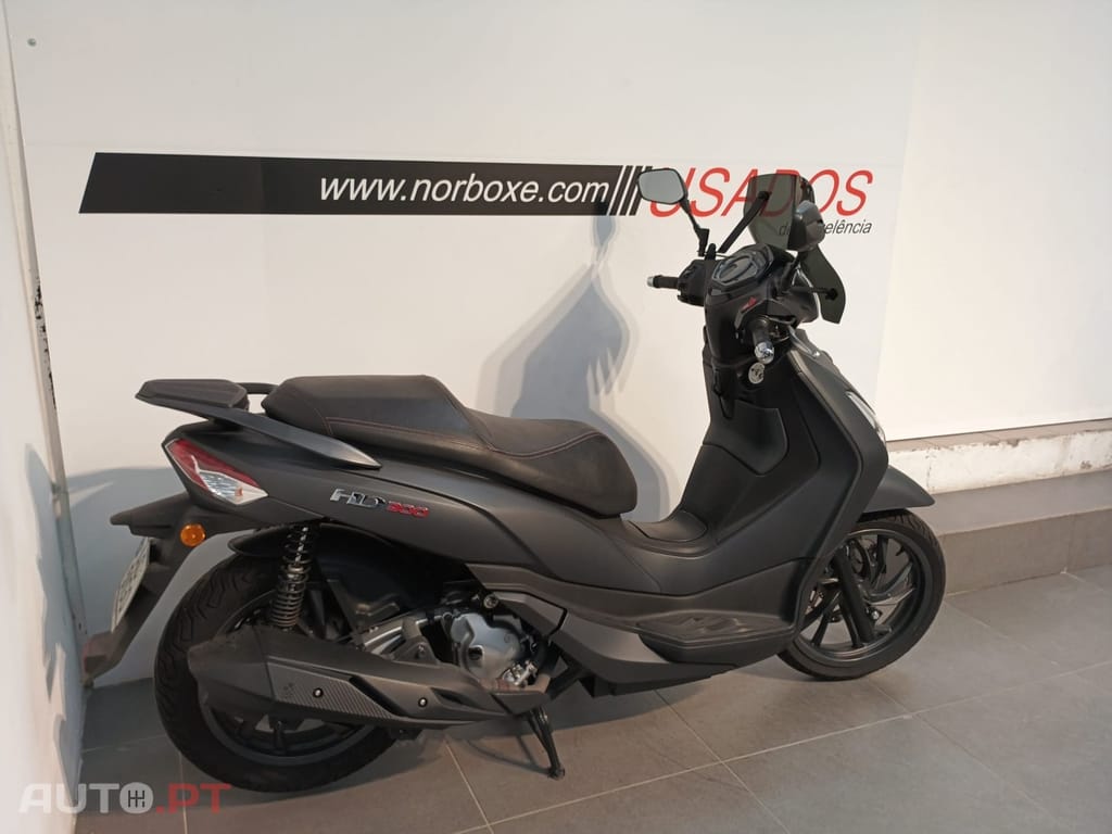 Sym HD 300