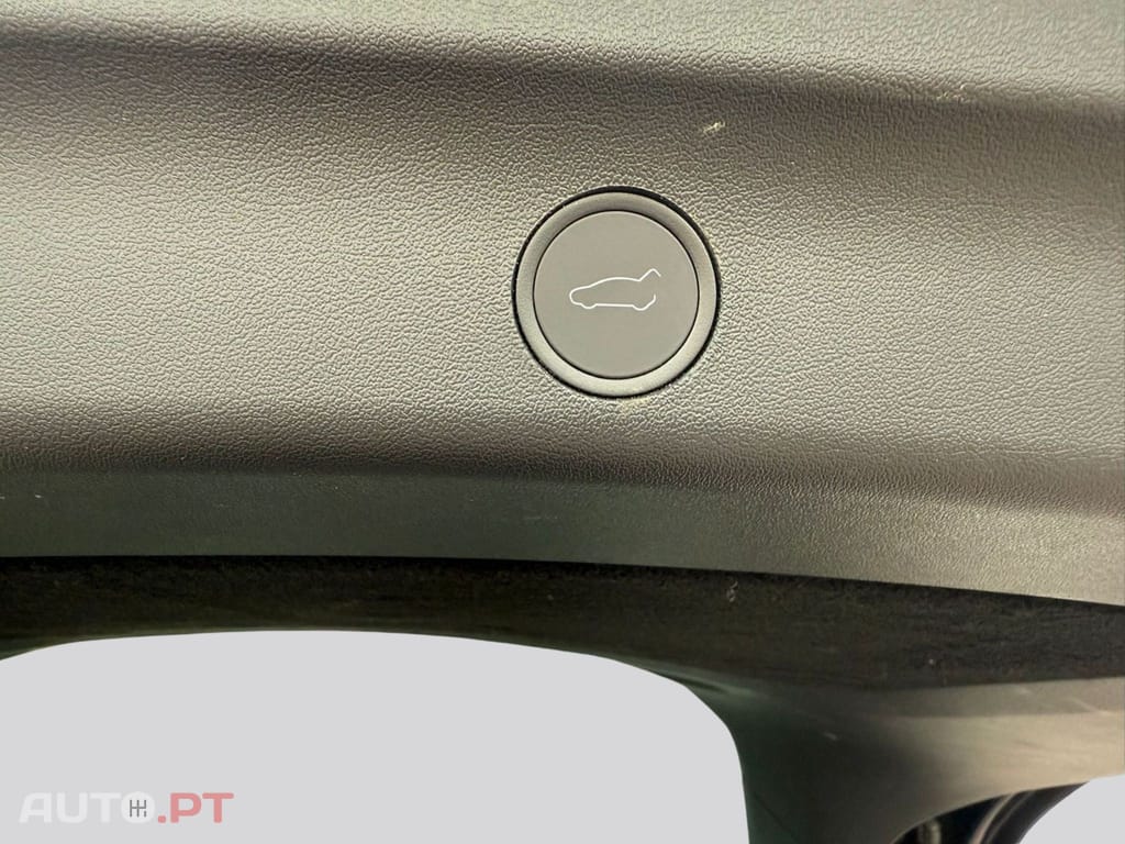 Tesla Model Y I.V.A DEDUTIVEL Performance AWD 