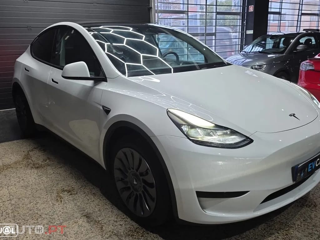 Tesla Model Y Standard