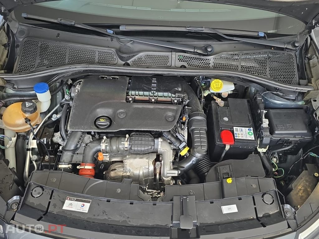 Citroen C4 Cactus 1.6 BlueHDi Shine