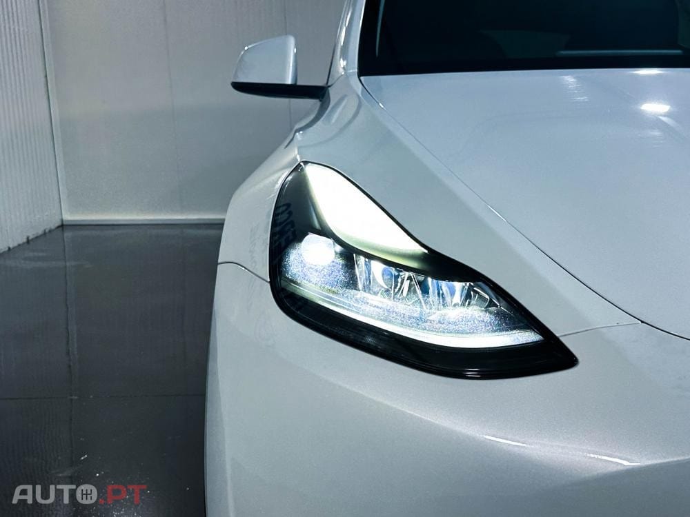 Tesla Model Y Standard