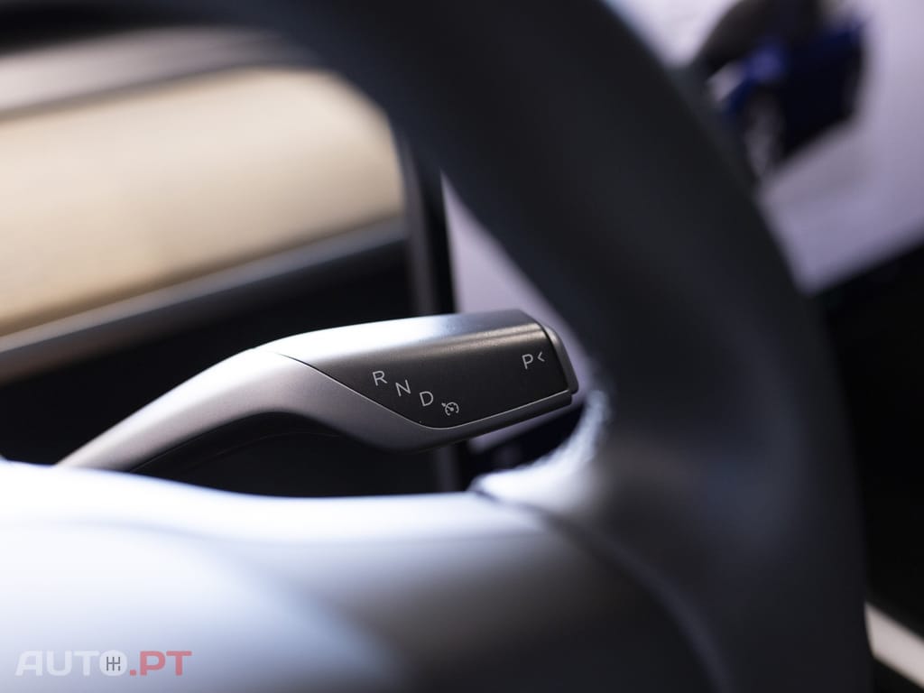 Tesla Model Y Standard