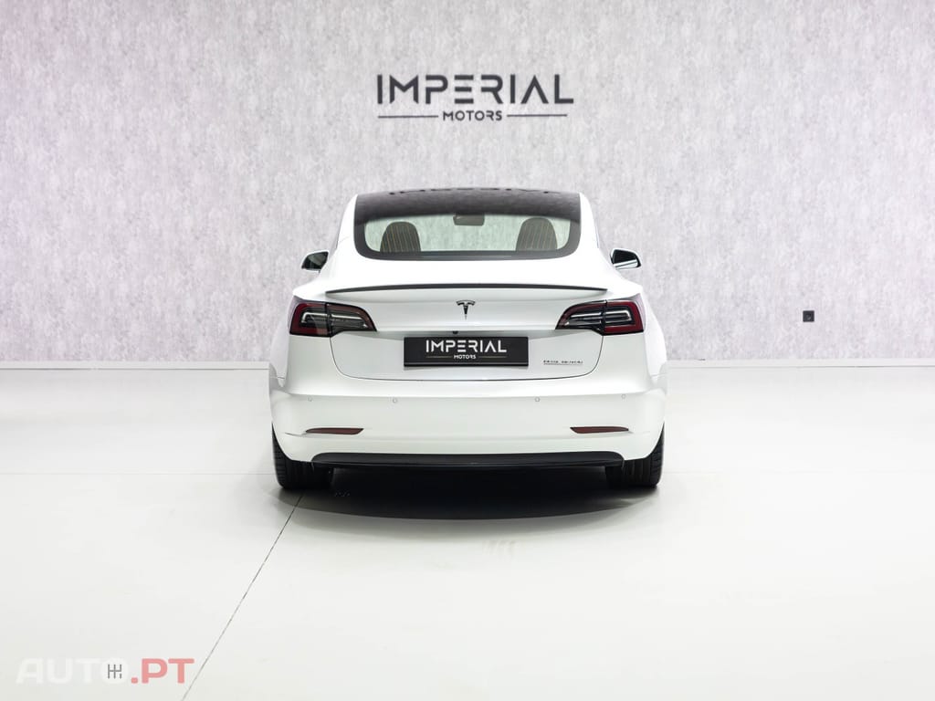 Tesla Model 3 AWD Dual Motor Performance