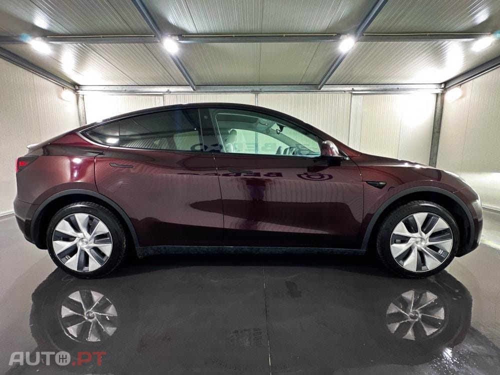 Tesla Model Y Standard