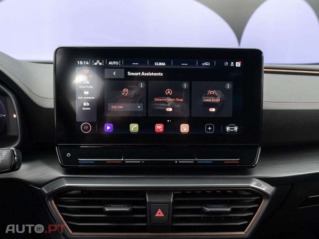 Cupra Formentor 2.0 TDI Sport