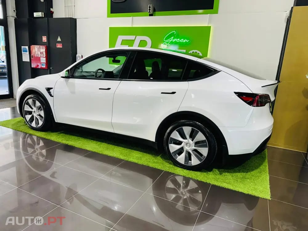 Tesla Model Y Standard