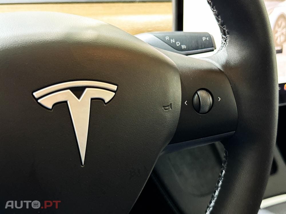 Tesla Model Y Standard