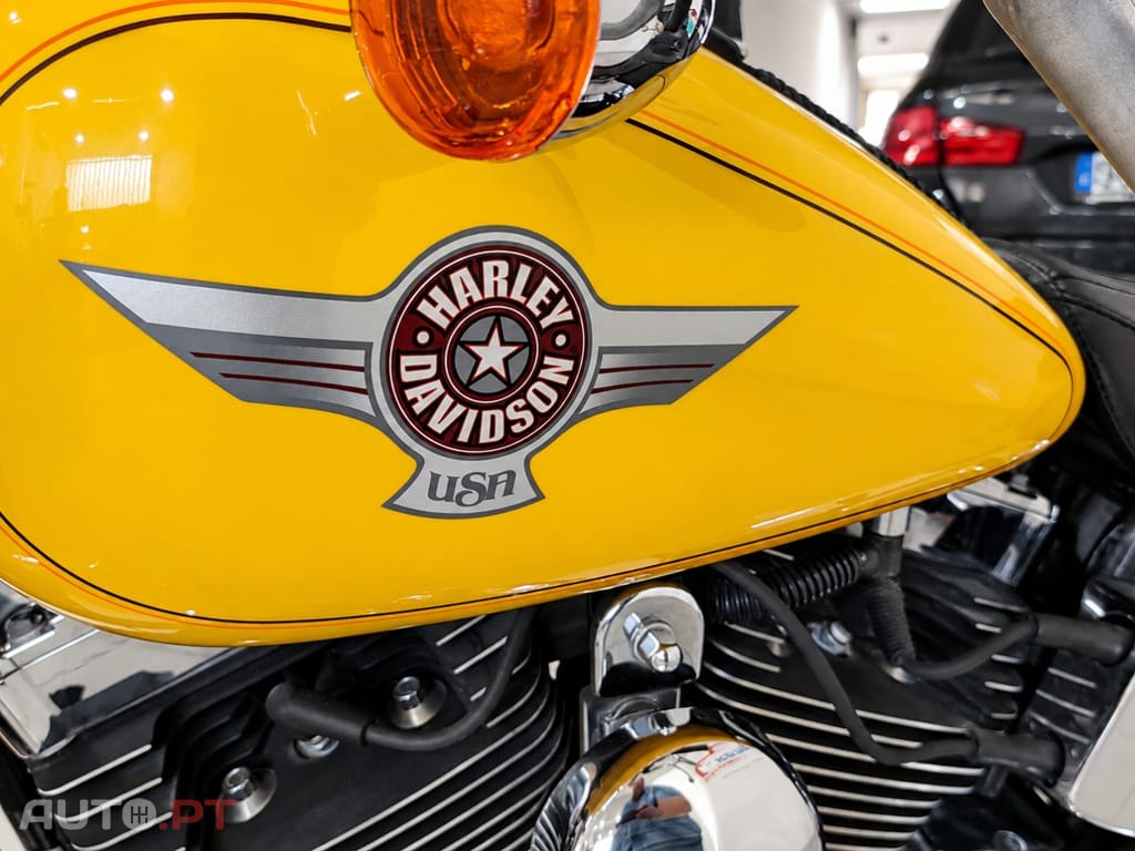 Harley Davidson Fat Boy .