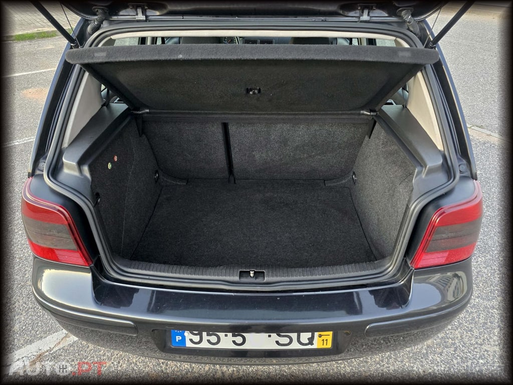 Volkswagen Golf 1.9 TDI 110CV