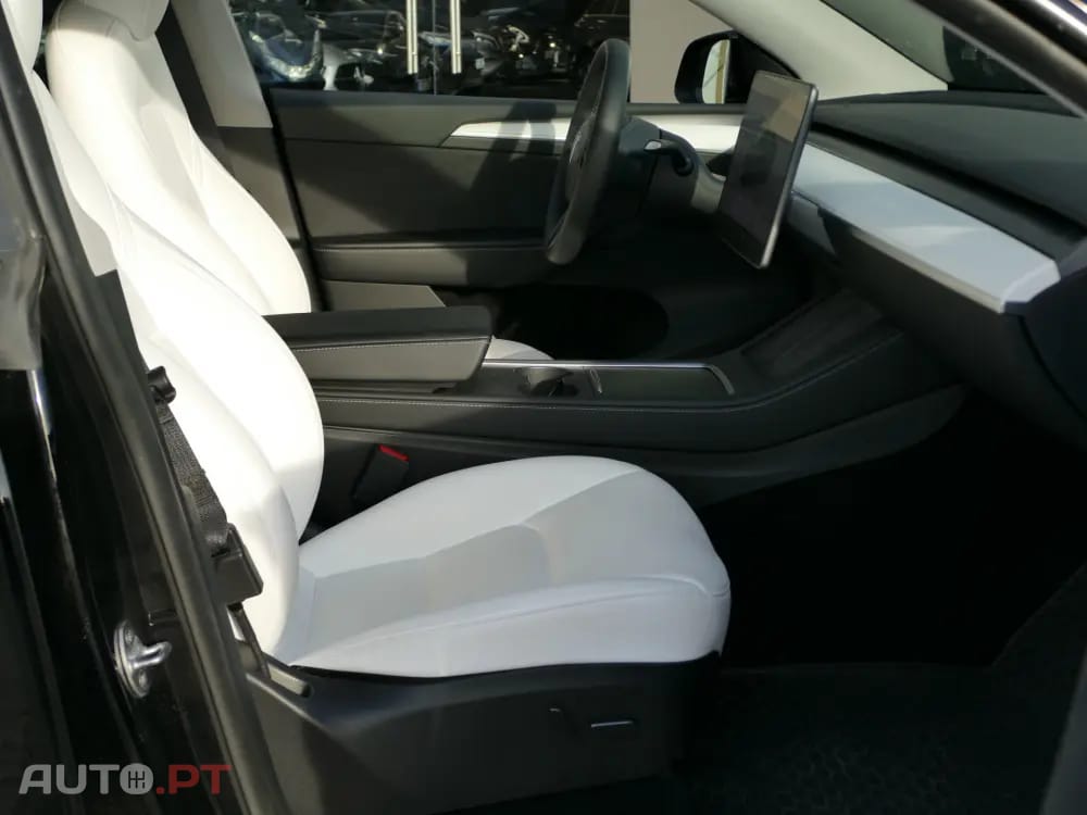 Tesla Model Y Standard