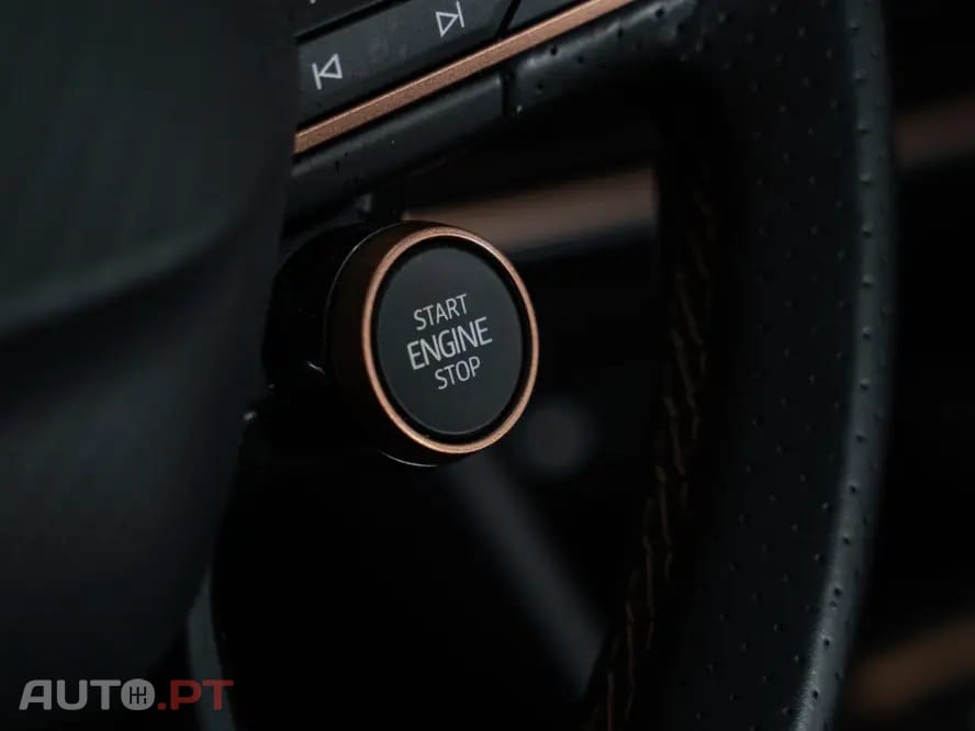 Cupra Formentor 2.0 TDI DSG