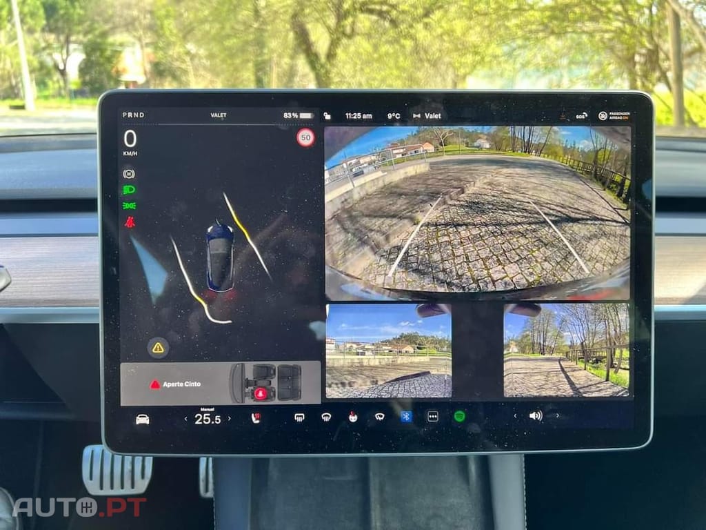 Tesla Model 3 Performance Dual Motor AWD