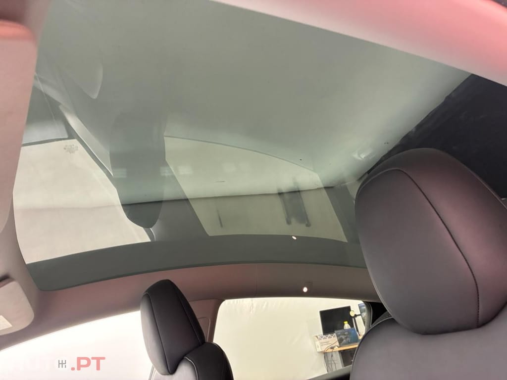 Tesla Model Y Standard RWD