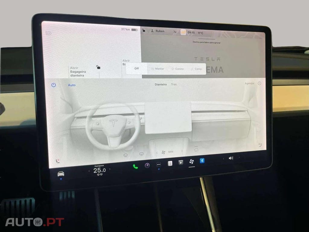 Tesla Model 3 PERFORMACE DUAL MOTOR