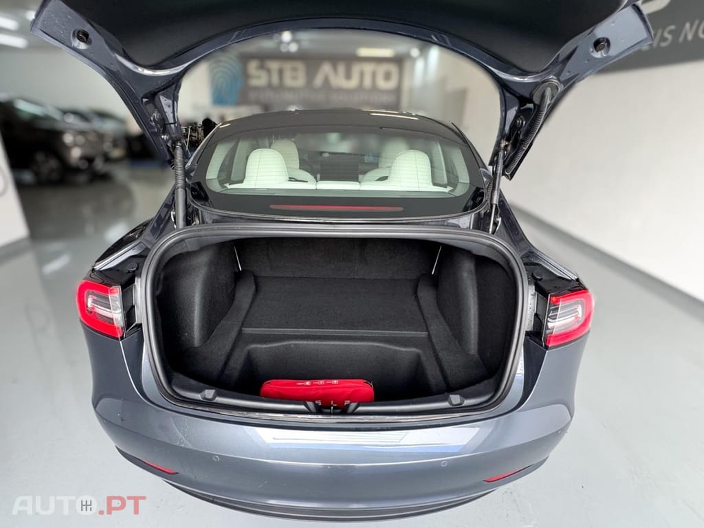 Tesla Model 3 RWD PLUS AUTO